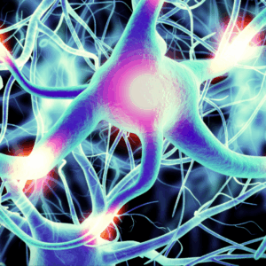 anatomia e patologia dei nervi cranici