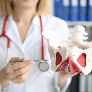 Dissezione anatomica pavimento pelvico