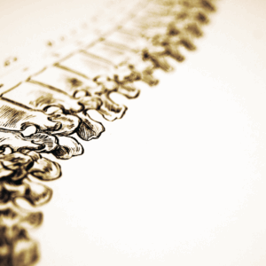 Masterclass Tecniche Manipolative Osteopatiche